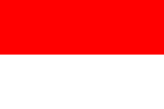 Indonesia eSIM - 100 MB / 1 day