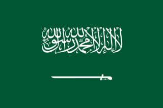 Saudi Arabia eSIM - 100 MB / 1 day