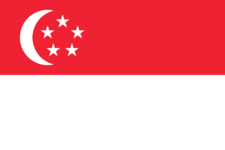 Singapore APAC eSIM - 100 MB / 1 day