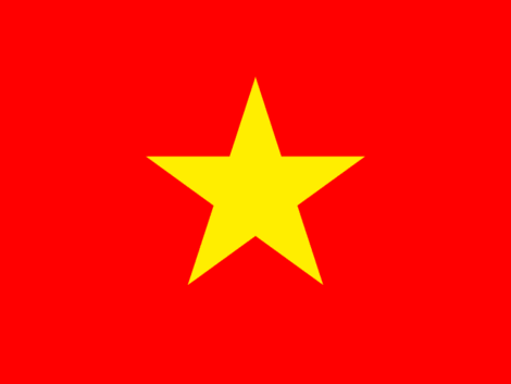 vn-1.png